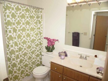 A decorated, full bathroom with a combination shower and tub.