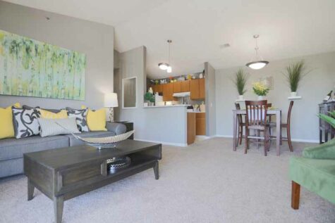 Decorated apartment model overview at Mallard Landing.