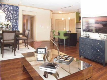 Decorated living, dining, and kitchen space at Palmera.