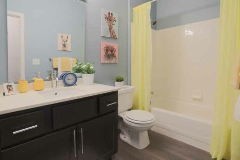 Decorated bathroom with large countertop and shower tub.