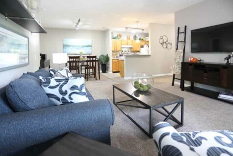Decorated apartment model overview at Waterford Place.