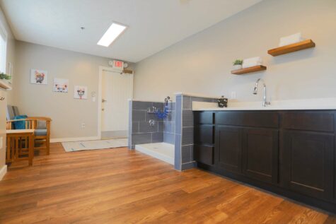 Dog spa room at Mallard Landing Apartments.