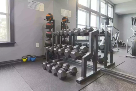Rack of free weights and medicine balls.