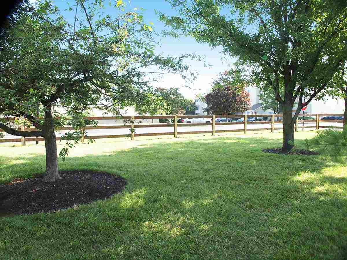 Fenced in dog park with large Island Club apartment buildings in the background.