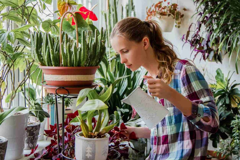Woman pouring water into a house plants surrounded by many other pots of plants.