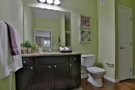Bathroom with brightly colored walls and dark cabinets