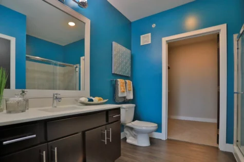 Bathroom with brightly colored walls and dark cabinets