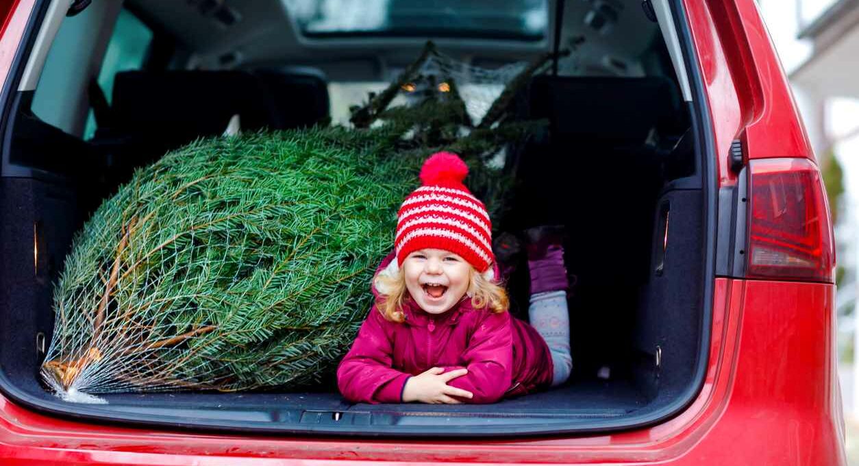 A child in the back of their family car next to her new christmas tree