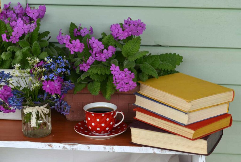 A collection of books sitting on a balcony table next to a plant
