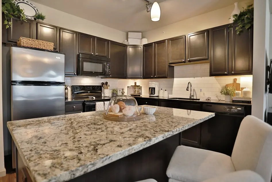 Kitchen at Palmera Apartments