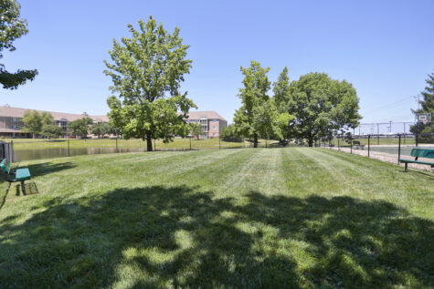 Emerald Lakes Dog Park