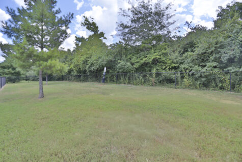 Dog Park