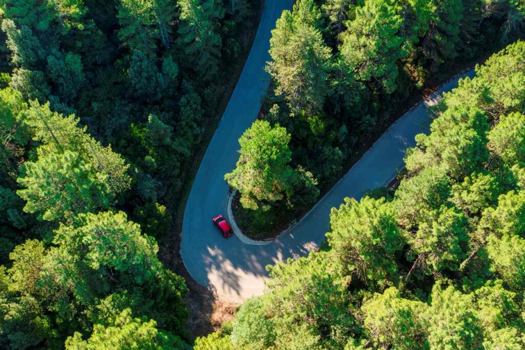 Aerial view of a red car circulating on a road surrounded by green tall trees.