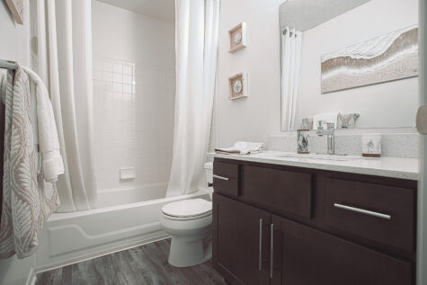 Bright, contemporary bathroom at Island Club by HILLS Properties in Maineville, Ohio, showcasing a spacious dark wood vanity with quartz countertop, decorative finishes, and a tub-shower combination.