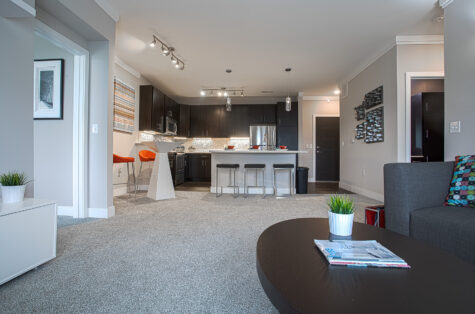 Modern apartment floor plan showcasing a large living and kitchen space with plush carpeting, quartz kitchen island, dark cabinetry, pendant lighting, stainless steel appliances, and stylish open-concept design at Savoy at the Streets of West Chester.