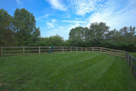 Pet-friendly dog park at Fox Chase South Apartments in Southgate, Kentucky, featuring a fenced outdoor space where dogs can run, play, and socialize.