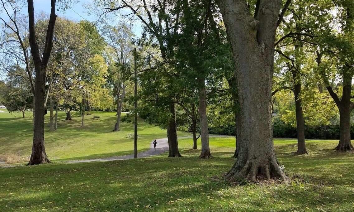 Public park trail lined with mature trees at Craig Park.